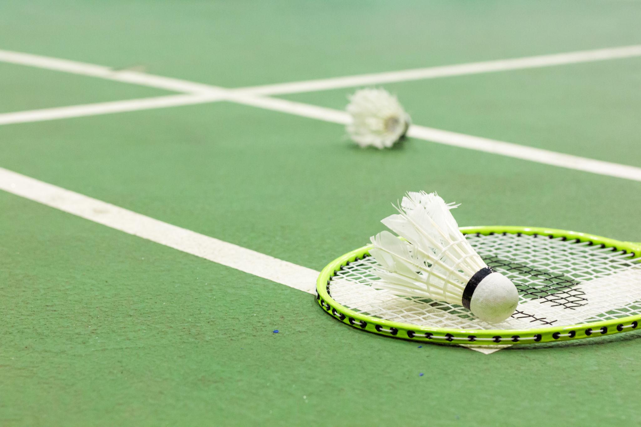 Badminton racket and shuttlecocks resting on a green court